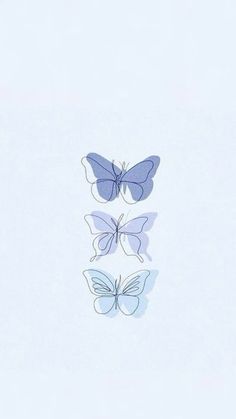 three butterflies are flying in the sky