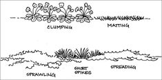 an image of plants and water with the words climbing, mating, sprouting