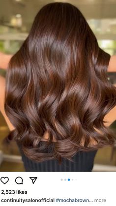 Chess Nut Brown Hair, Chest Nut Brown Hair Color, Chest Nut Brown Balayage, Hot Cocoa Hair Color, Brown Cinammon Hair Colour, Medium Mocha Brown Hair Color, Mahagony Hair Color Brown Balayage, Reddish Chocolate Brown Hair, Medium Brown Hair With Red Tint