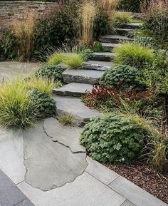 a stone walkway surrounded by plants and shrubs