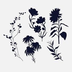 the silhouettes of different flowers are shown in black on a white background, and one is