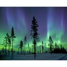 the aurora lights shine brightly in the night sky over trees and snow covered ground,