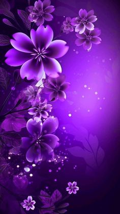 purple flowers on a black background