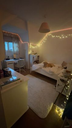 a dog laying on top of a bed in a bedroom next to a computer desk