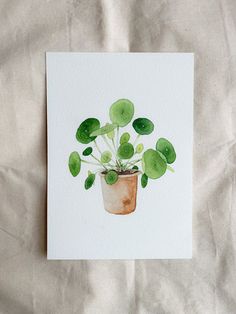 a watercolor painting of a potted plant with green leaves on it's side