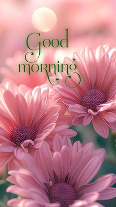 pink flowers with the words good morning on it