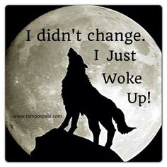 a wolf standing on top of a hill with the moon in the background and i didn't change, i just woke up