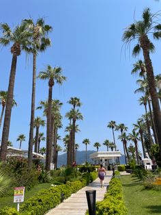 a woman walking down a path lined with palm trees and flowers on a sunny day