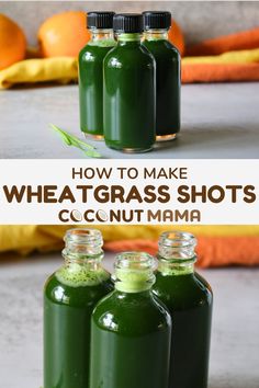 how to make wheatgrass shots with coconut milk and match your favorite drinks for an easy summer drink