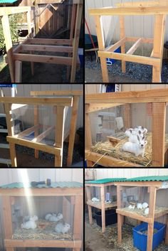 several pictures of the inside of a chicken coop