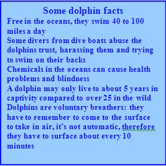 some dolphins swim in the ocean, they swim to 100 miles