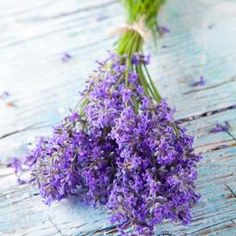 some purple flowers are sitting on a table