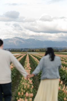 a man and woman holding hands walking through a field full of tulips with mountains in the background