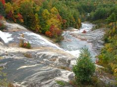 a river running through a lush green forest filled with fall colored trees next to a waterfall