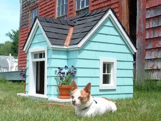 a dog laying in the grass next to a blue house