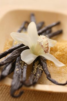 a white flower on top of some black beans