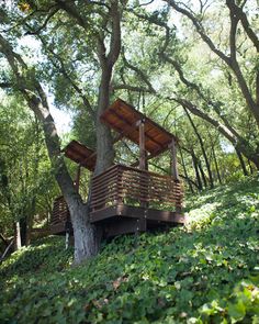 a tree house in the middle of some trees