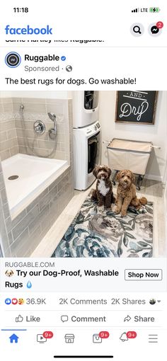 two dogs are sitting on the bathroom floor