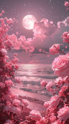 pink flowers are blooming on the beach under a full moonlit sky with stars and clouds