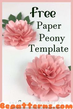 two pink flowers with the words free paper peony template on top and below it