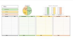 a spreadsheet with pie chart, pie graph and pie chart on it's side