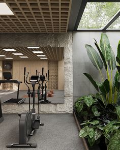 an indoor gym with treadmills, exercise bikes and plants in the foreground