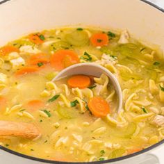 chicken noodle soup with carrots, celery and parsley in a pot