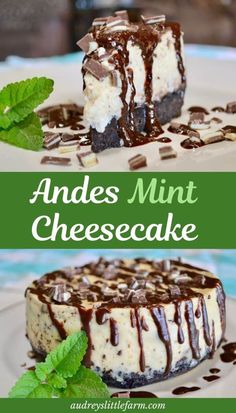 an image of cheesecake with chocolate and mints on the top, and in the middle