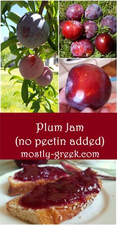 plum jam, no peltin added, and most likely greek bread is the best way to use it