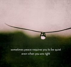 a string with a quote on it that says sometimes peace requires you to be quiet even when you are right