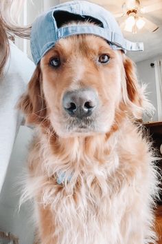 a dog with a hat on its head is sitting in front of a woman's face