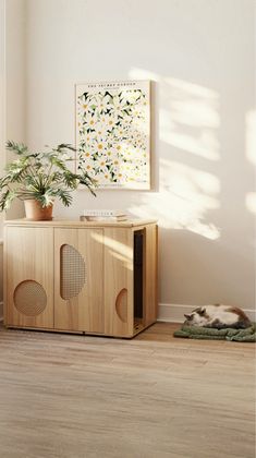 a cat laying on top of a wooden cabinet next to a plant in a room