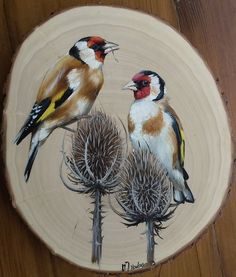 two birds sitting on top of a piece of wood next to each other with flowers in front of them