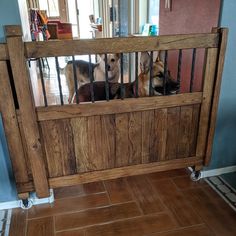 three dogs are looking through the bars of a gated in dog pen that is made out of wood and metal