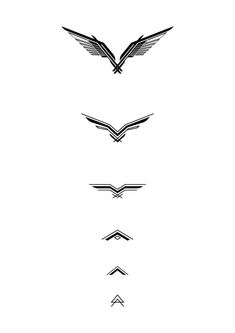 four different types of wings are shown in black and white, each with an arrow