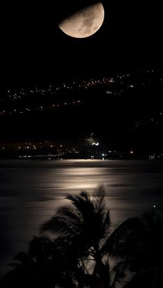 the moon is shining in the night sky over water with palm trees and mountains behind it