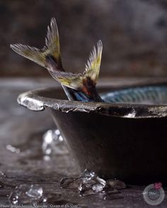 two birds flying over a bowl with water