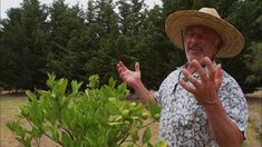 an older man wearing a straw hat standing in front of a bush with his hands up