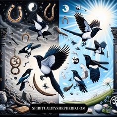 two pictures of birds in the sky with numbers and symbols on them, one is black and white