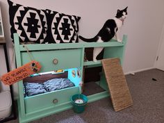 a black and white cat sitting on top of a green shelf next to a bed