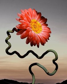 a large red flower sitting on top of a green snake's head in the air