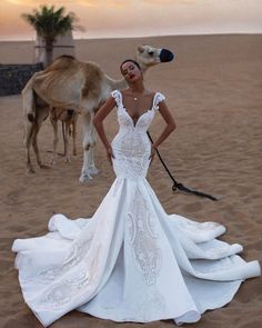 a woman in a wedding dress standing next to a camel on the beach at sunset