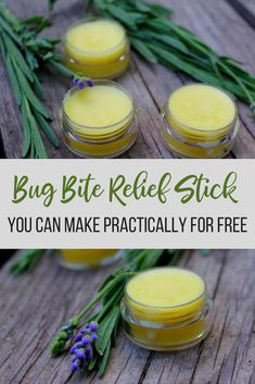 Diy Bug Repellent Lotion, Diy Bugs, Bug Repellant, Bite Relief, Diy Brand, Chicken Mama, Bug Bite