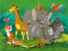 many different animals together in the jungle