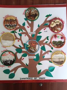 a tree with many different types of food on it and labeled in the words abundance of trees