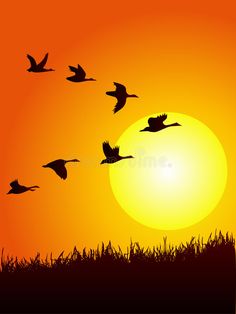 a flock of birds flying in front of the sun at sunset with grass and trees