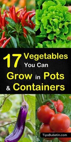 vegetables that are growing in pots and containers with the title 17 vegetables you can grow in pots