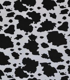 black and white cow print fabric with lots of spots on the back of it's surface