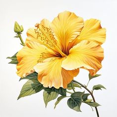 a large yellow flower with green leaves