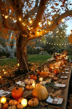 a long table covered in lots of pumpkins under a tree with lights strung from the branches